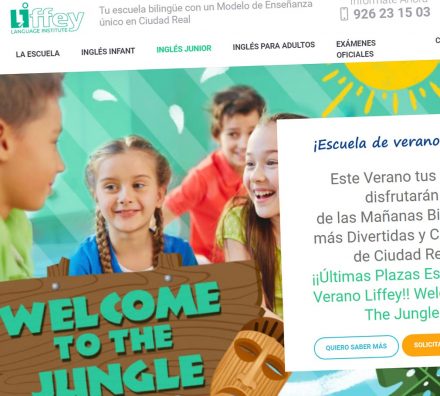Liffey Language Institute Web - Escuela de Verano