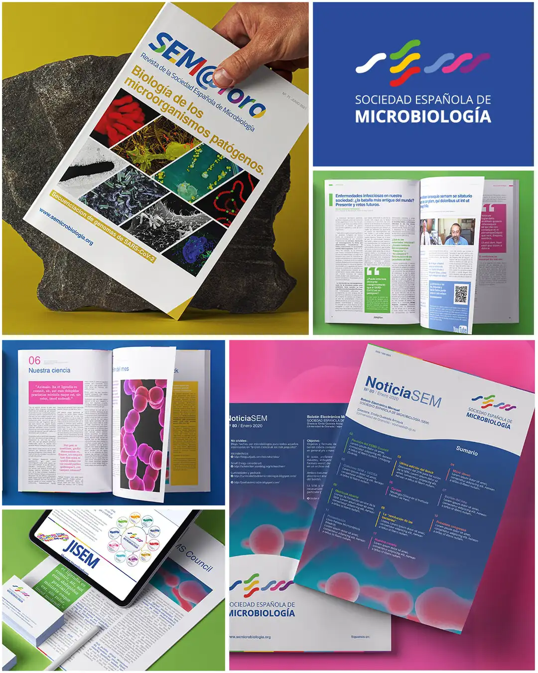 SEM Microbiología presentación proyecto